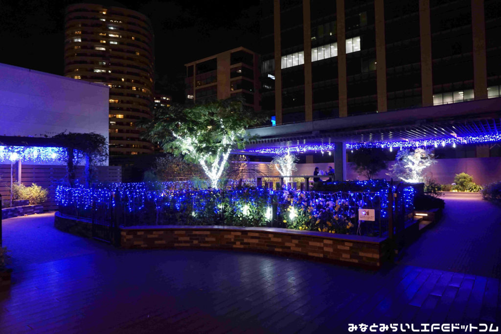 Mark Is みなとみらいのクリスマスツリー・イルミネーション【2019年まとめ】 みなとみらいLIFEドットコム
